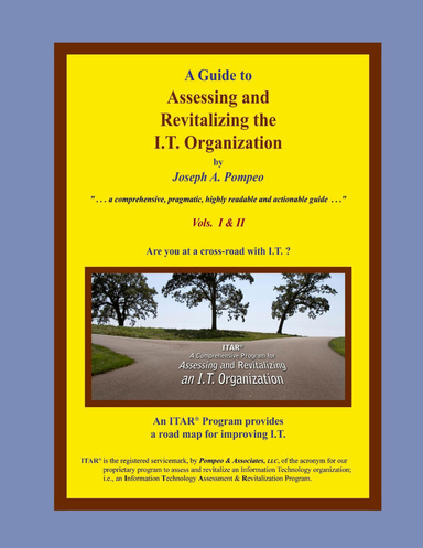 A Guide to Assessing and Revitalizing the I.T. Organization
