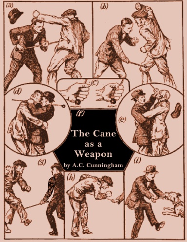 Cane Fighting Guide : The Practical Guide Of Techniques And Defense  Strategies During Cane And Stick Fighting (Paperback)