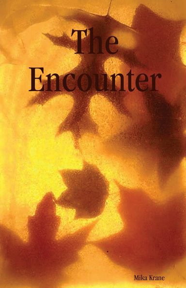 The Encounter