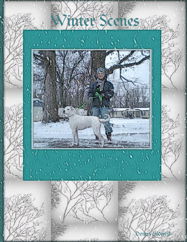 Winter Scenes