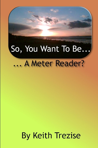 So You Want To Be... a Meter Reader