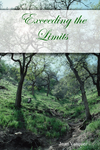 Exceeding the Limits