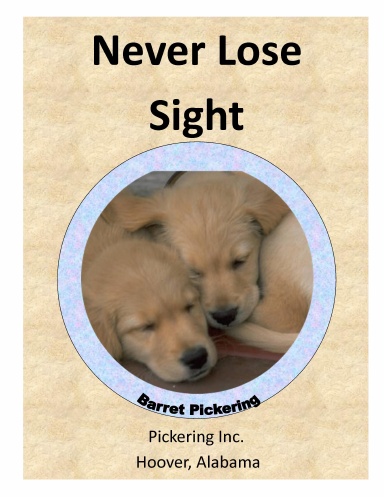 Never Lose Sight
