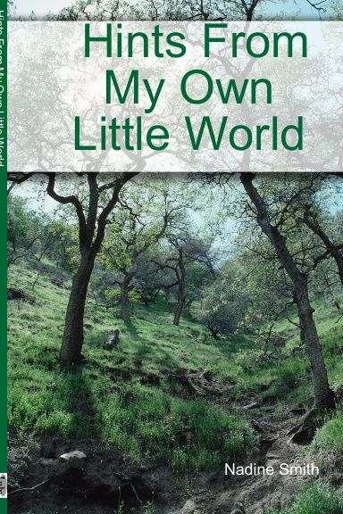 Hints From My Own Little World