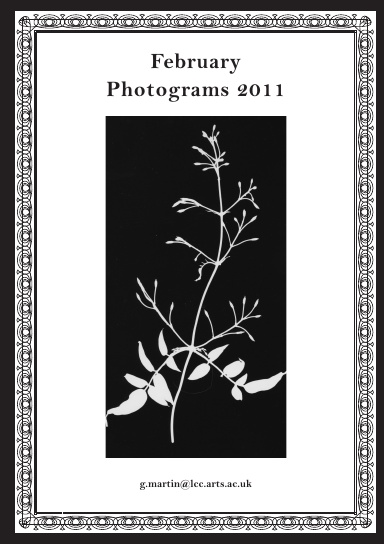February Photograms 2011