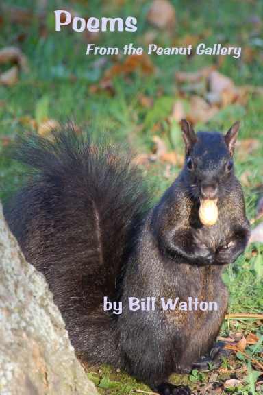 Poems from the Peanut Gallery