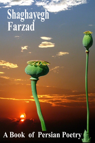 Shaghayegh