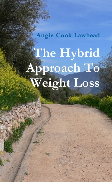 The Hybrid Approach To Weight Loss