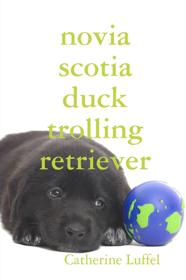 novia scotia duck trolling retriever
