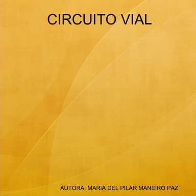 CIRCUITO VIAL