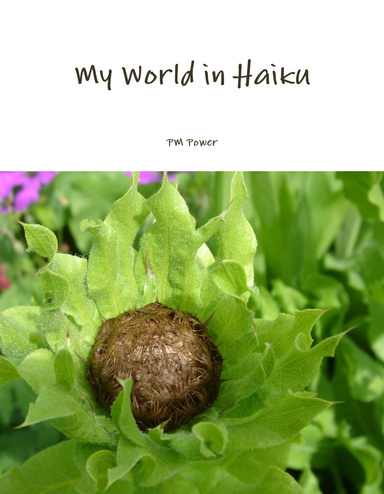 My World in Haiku