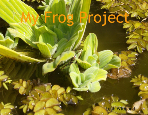 My Frog Project