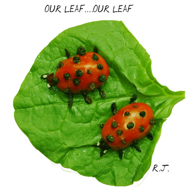 Our Leaf......Our Leaf