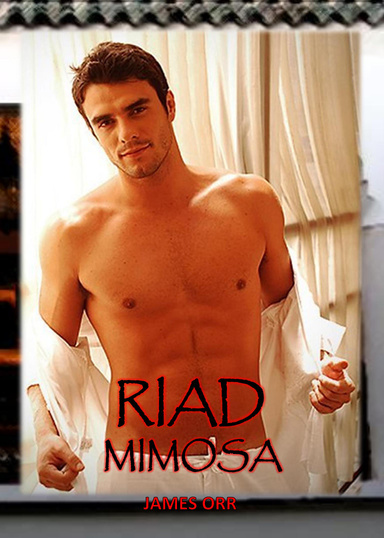 Riad Mimosa
