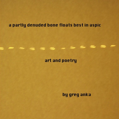 a partly denuded bone floats best in aspic