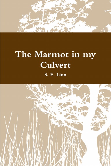 The Marmot in my Culvert