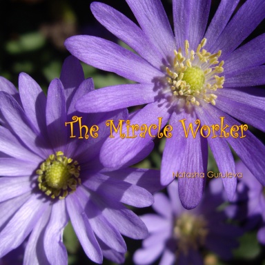 The Miracle Worker