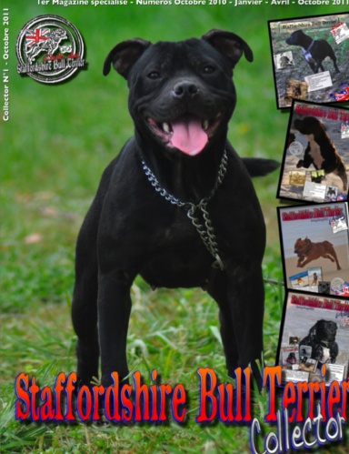 Magazines Staffordshire Bull Terrier - 2010/2011 Collector