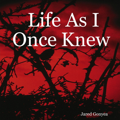 Life As I Once Knew