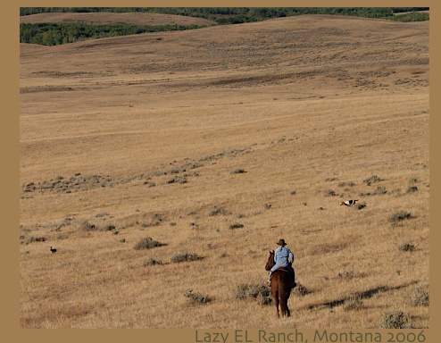 Hunting in Montana, 2006
