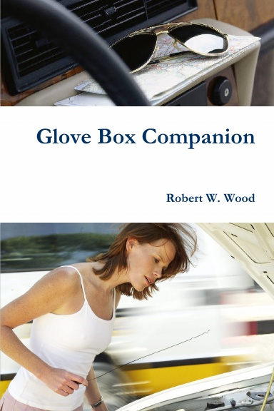 Glove Box Companion