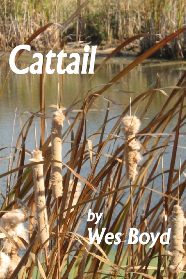 Cattail
