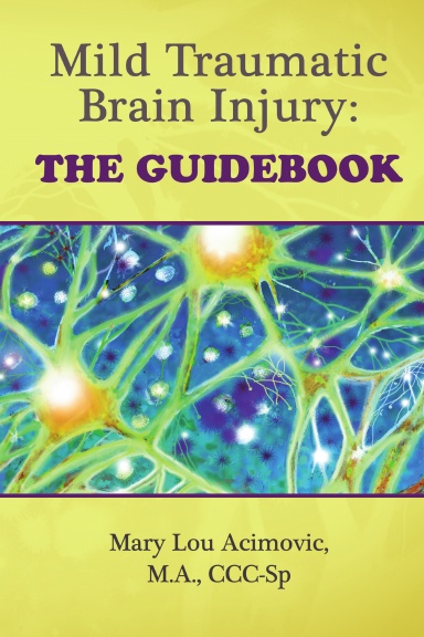 Mild Traumatic Brain Injury: The Guidebook