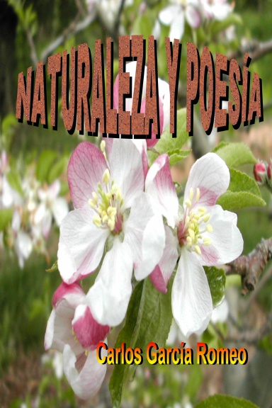 NATURALEZA Y POESÍA