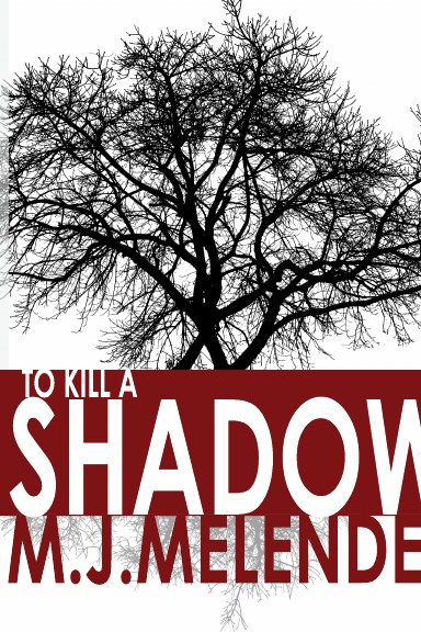 To Kill A Shadow