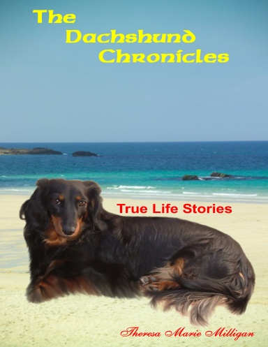 The Dachshund Chronicles