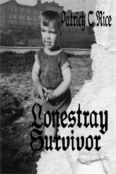 Lonestray, Survivor
