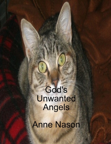 God's Unwanted Angels