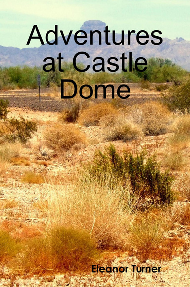 Adventures at Castle Dome