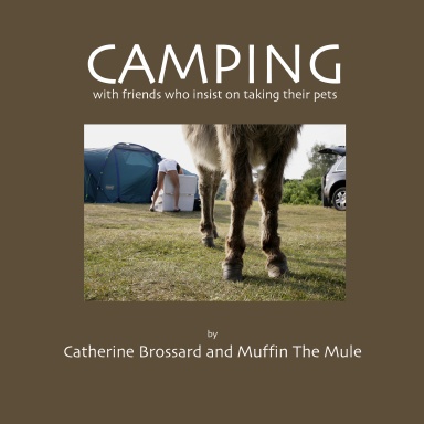Camping (brown cover)