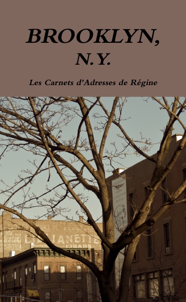 BROOKLYN N.Y. Address Book
