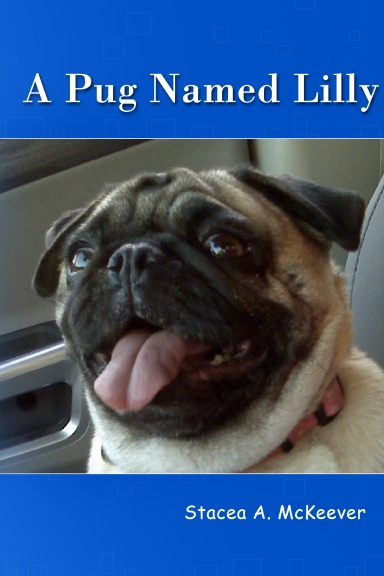 A Pug Named Lilly