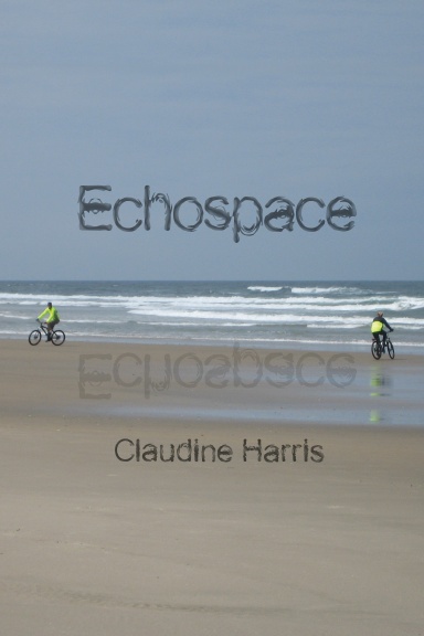 Echospace