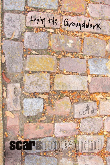 Laying the Groundwork (color 6x9 edition)