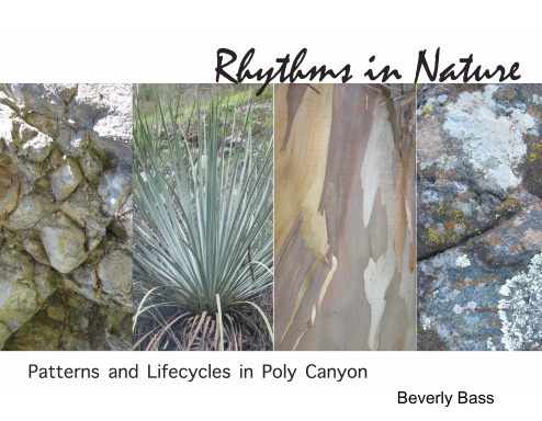 Rhythms in Nature: Patterns and Lifecycles in Poly Canyon