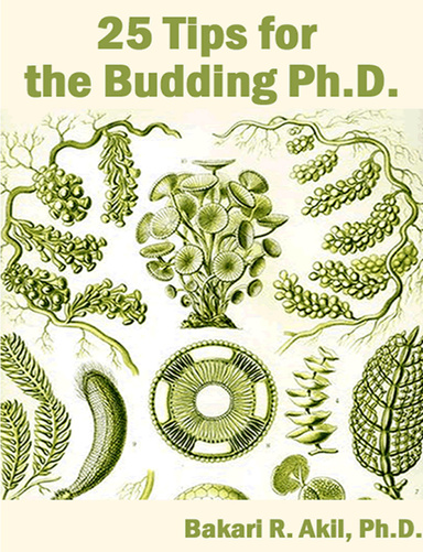 25 Tips for the Budding Ph.D.