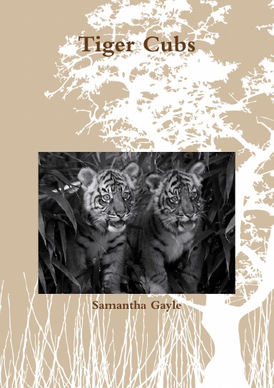 Tiger Cubs