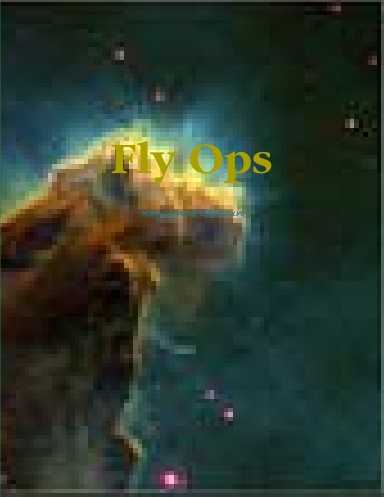 Fly Ops