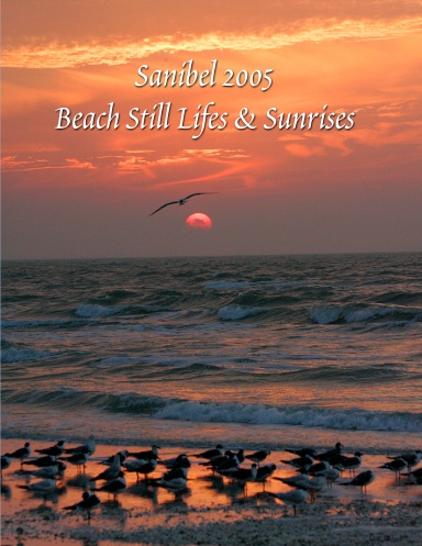 Sanibel 2005  Beach Still Lifes & Sunrises