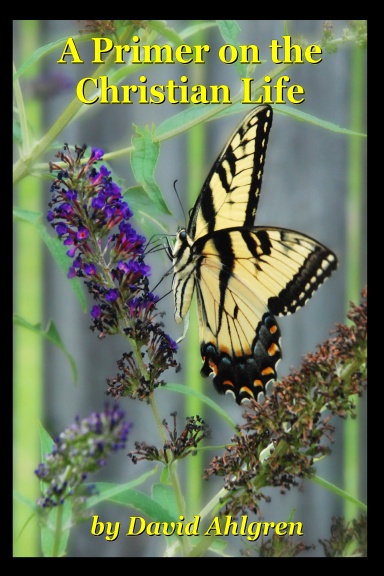 A Primer on the Christian Life
