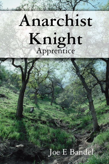 Anarchist Knight:Apprentice