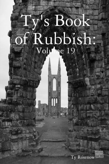 Ty's Book of Rubbish: Volume 19