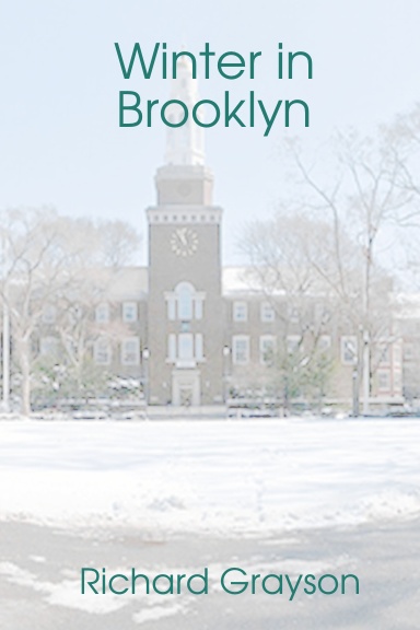 Winter in Brooklyn