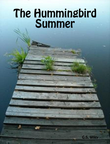 The Hummingbird Summer