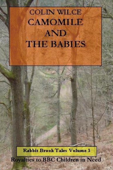 Camomile and the Babies (Rabbit Brook Tales Volume 3)