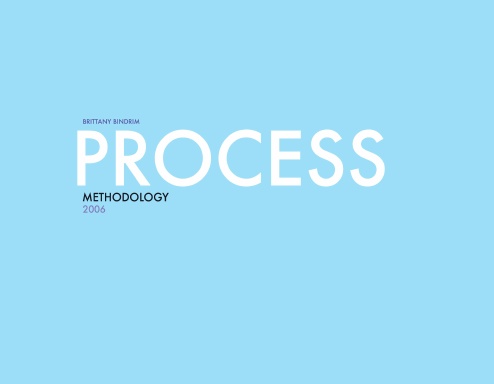 Process: Methodology 2006